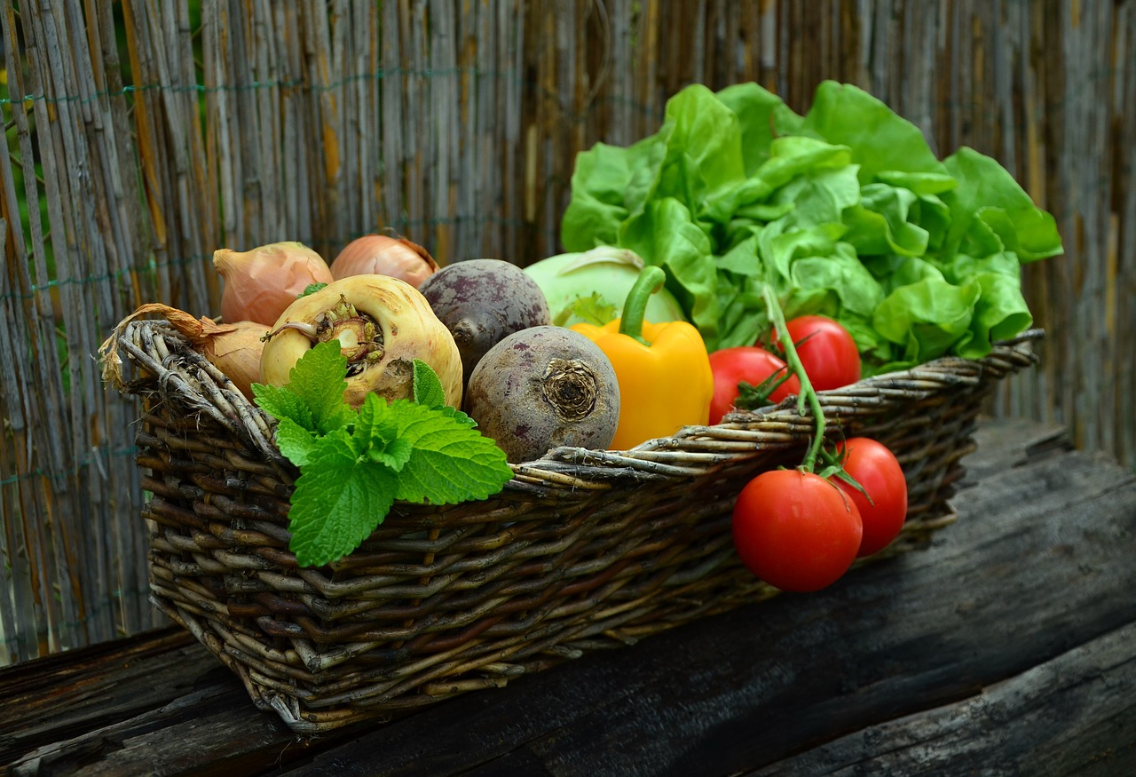 alimentos saudáveis
