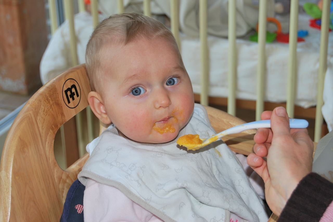 comida bebê