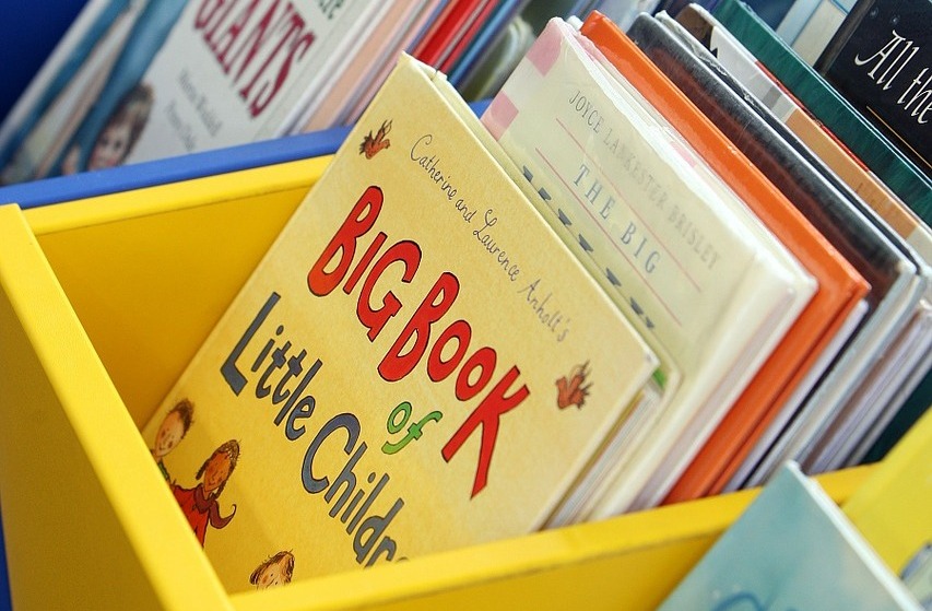 livro infantil