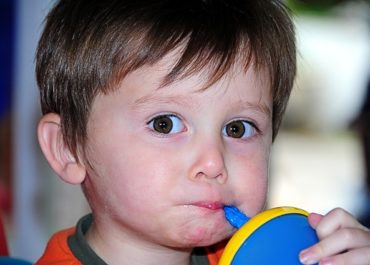 Todo o Livro - Preparando Uma Lancheira Saudável Para Os Filhos