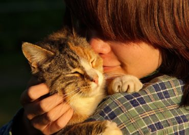 Confira Bons Motivos para Deixar seu Filho Ter um Animal de Estimação