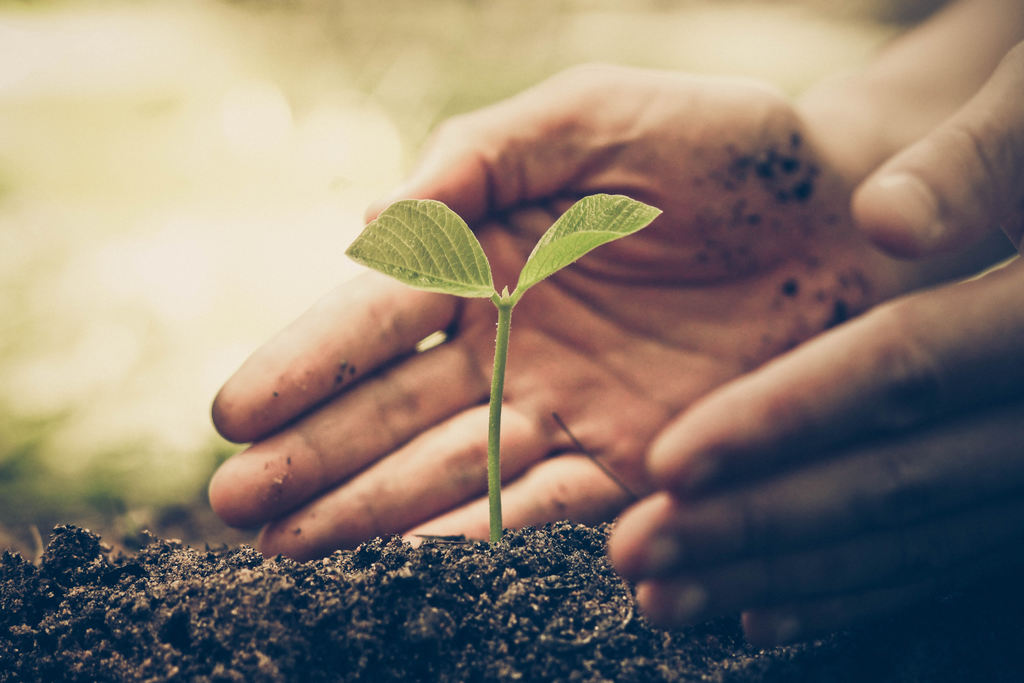 Educação Ambiental para Crianças todo livro